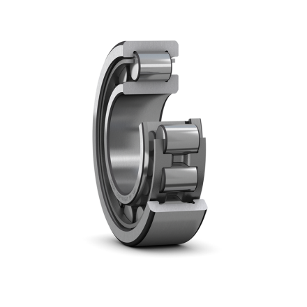 SKF NJ 324 ECJ/C3